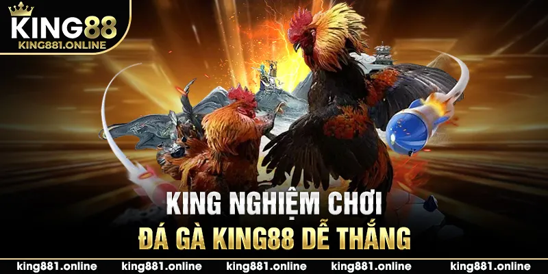 King nghiệm chơi đá gà King88 dễ thắng