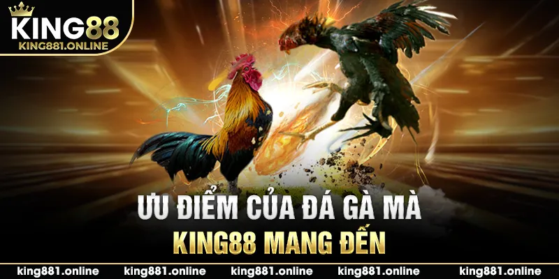 Ưu điểm của đá gà mà King88 mang đến